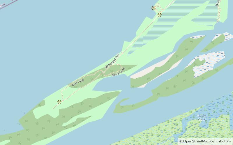Petrie Island location map