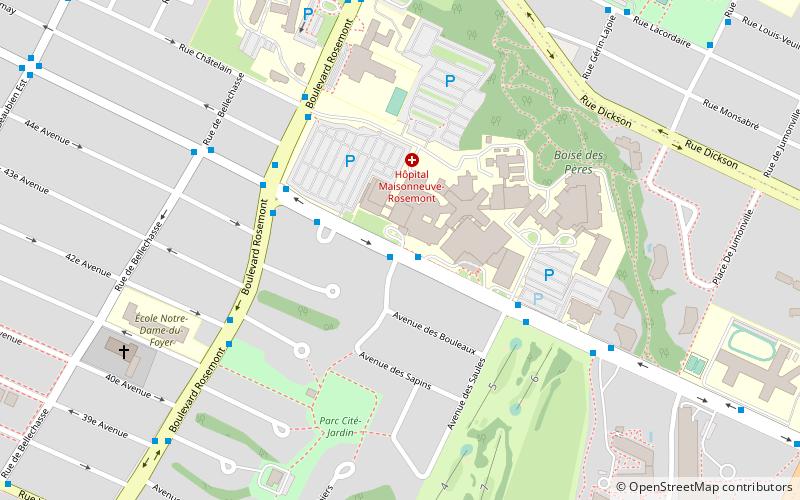 De L'Assomption Boulevard location map