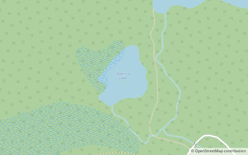 Owaissa Lake location map