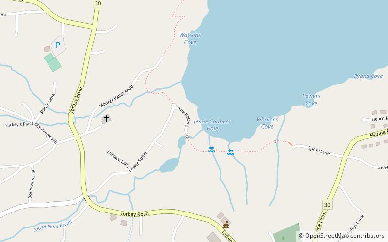 torbay beach location map