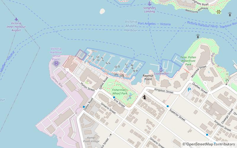 eagle wing tours whale watching victoria location map