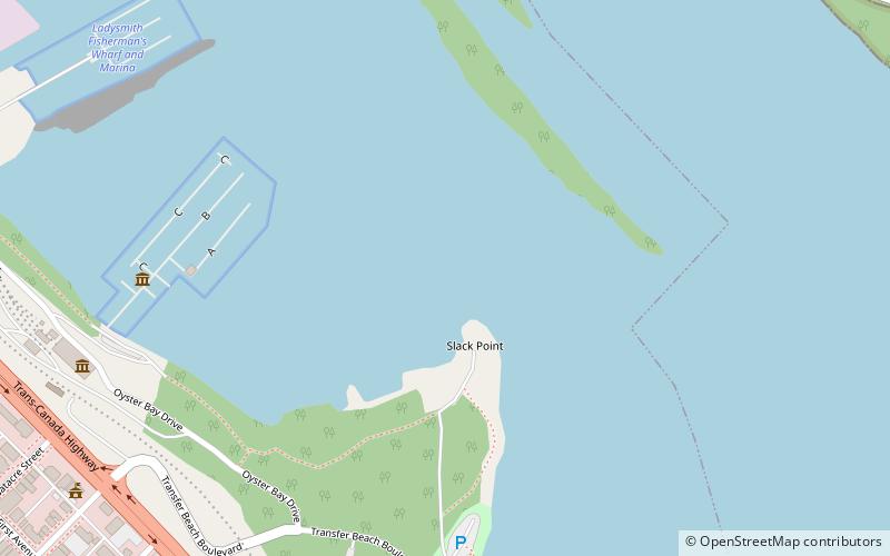 Ladysmith Harbour location map