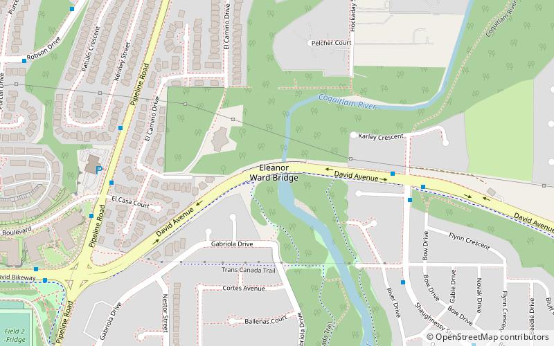 eleanor ward bridge coquitlam location map