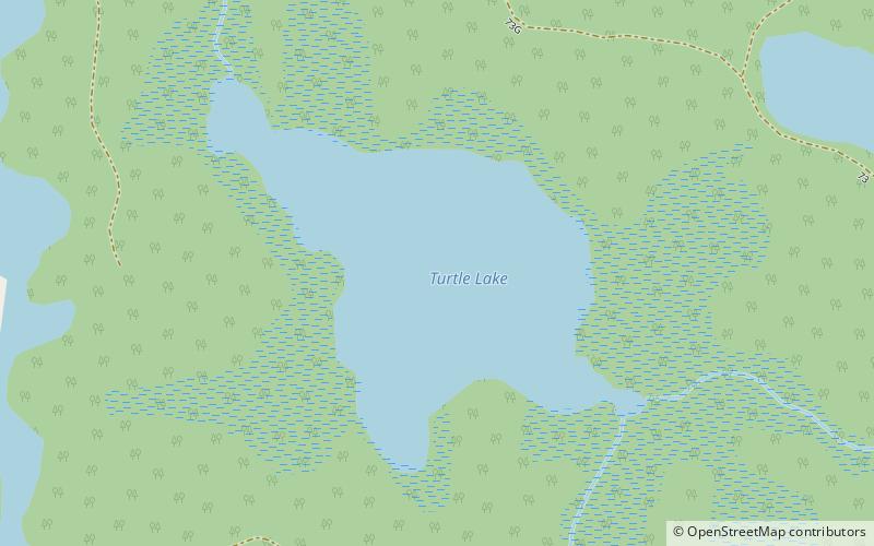 Turtle Lake location map