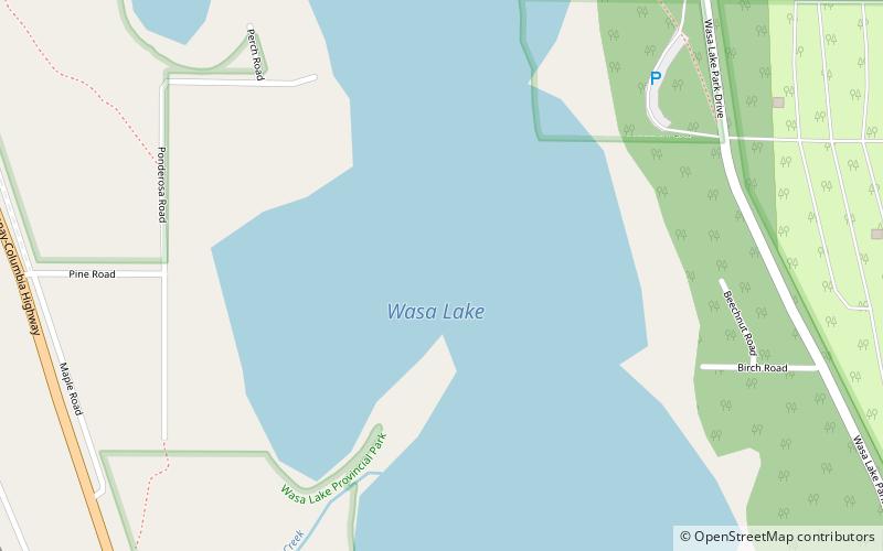 Wasa Lake location map