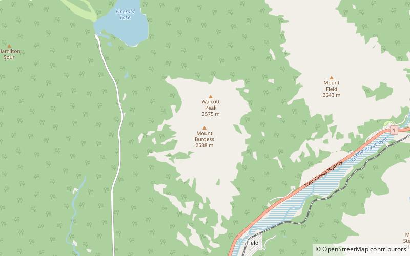Mount Burgess location map