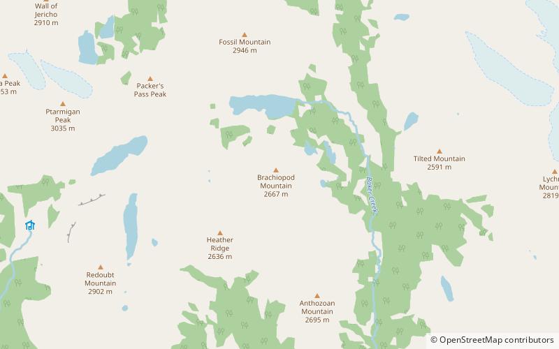 brachiopod mountain banff national park location map