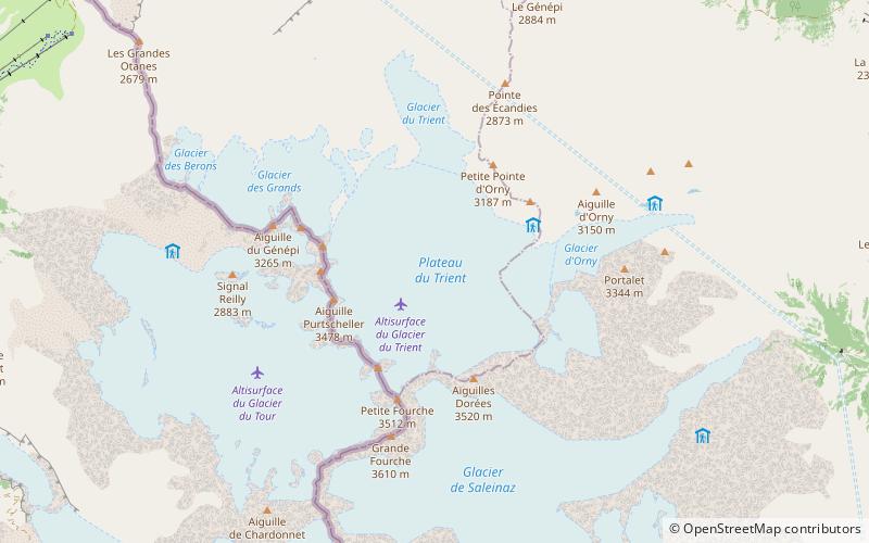 Glaciar Trient location map