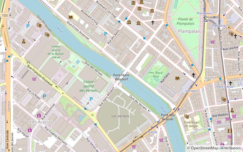 Hans Wilsdorf Bridge location map
