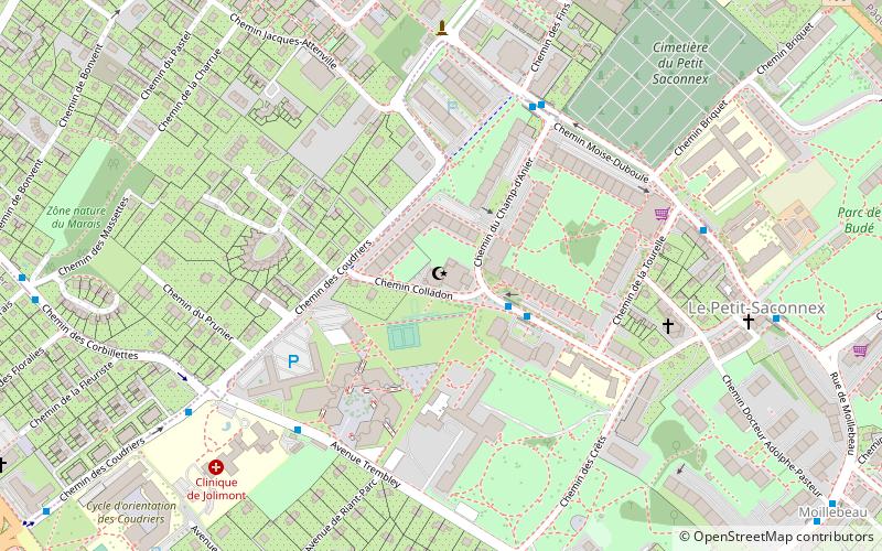 Geneva Mosque location map