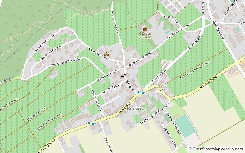 Église réformée Saint-Martin de Bursins location map