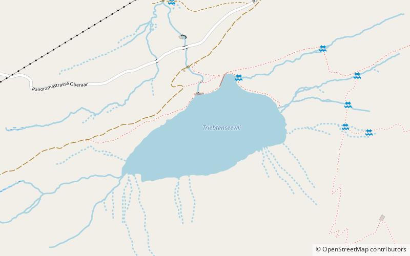 triebtenseewli location map