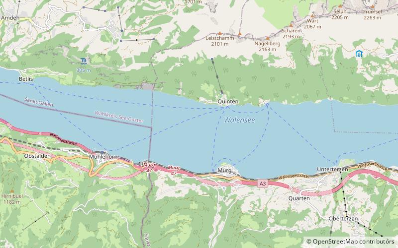 Lac de Walenstadt location map