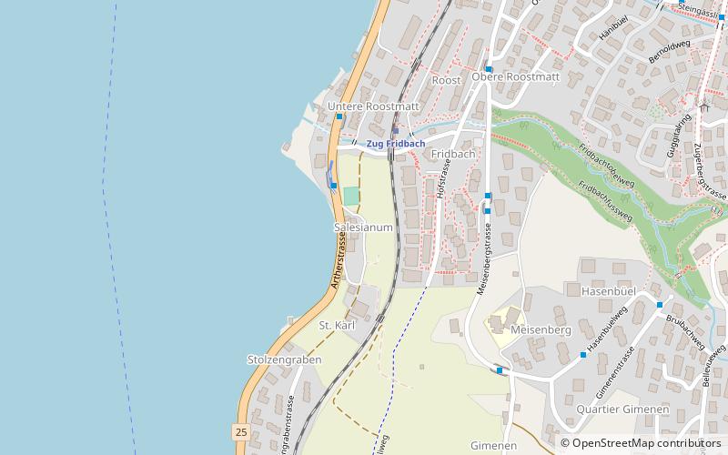 Salesianum Zug location map