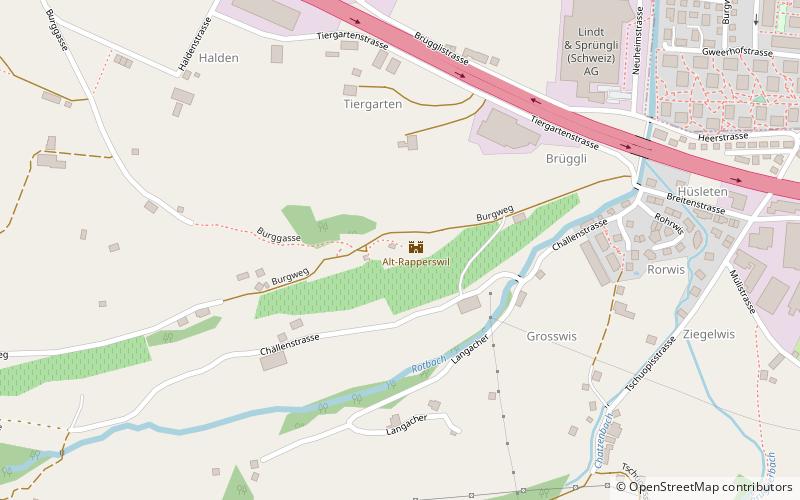 burg alt rapperswil altendorf sz location map
