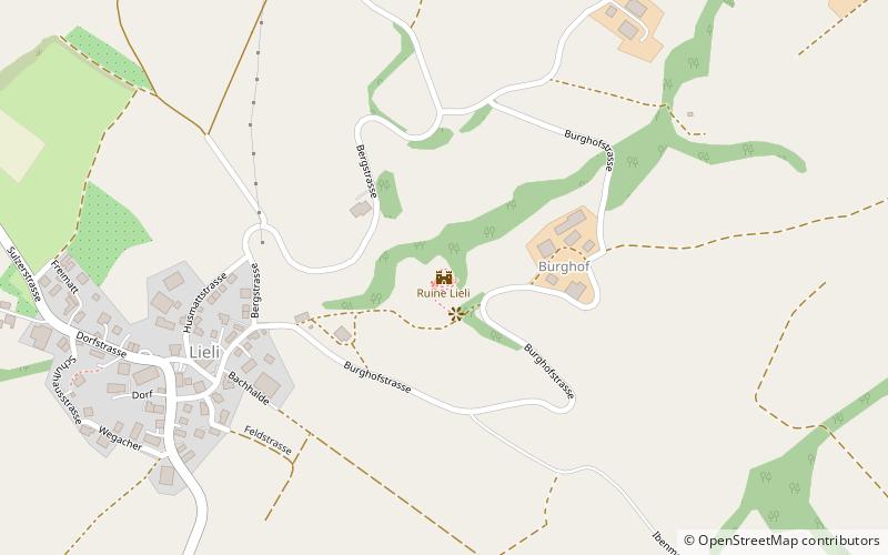 Nünegg Castle location map