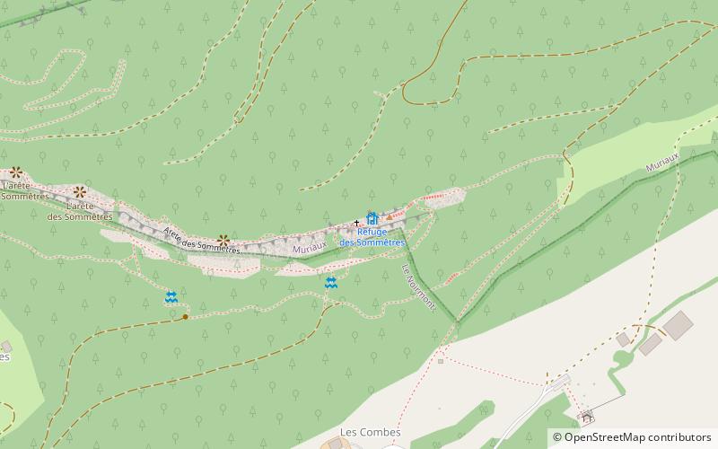 Ruine Spiegelberg location map