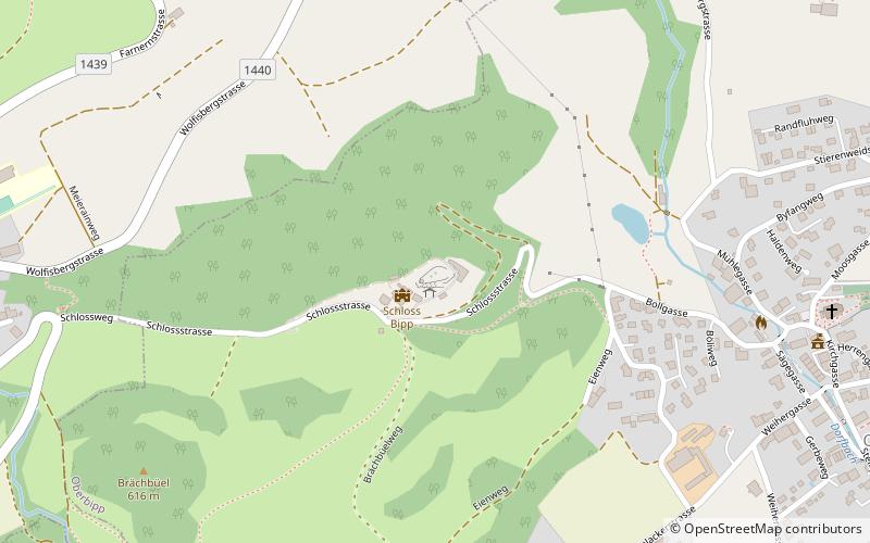 Schloss Bipp location map