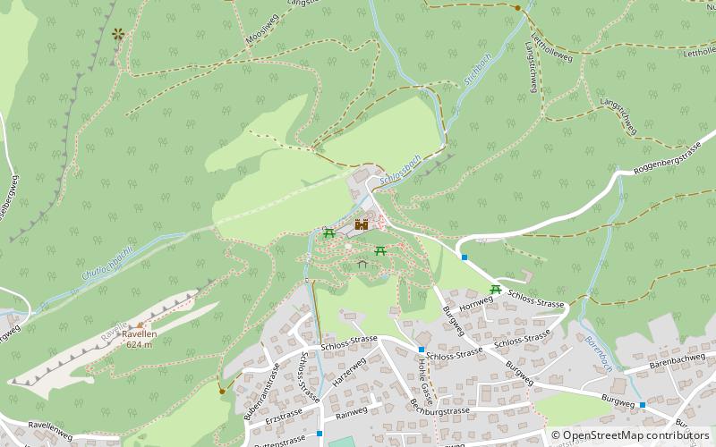 Neu-Bechburg Castle location map