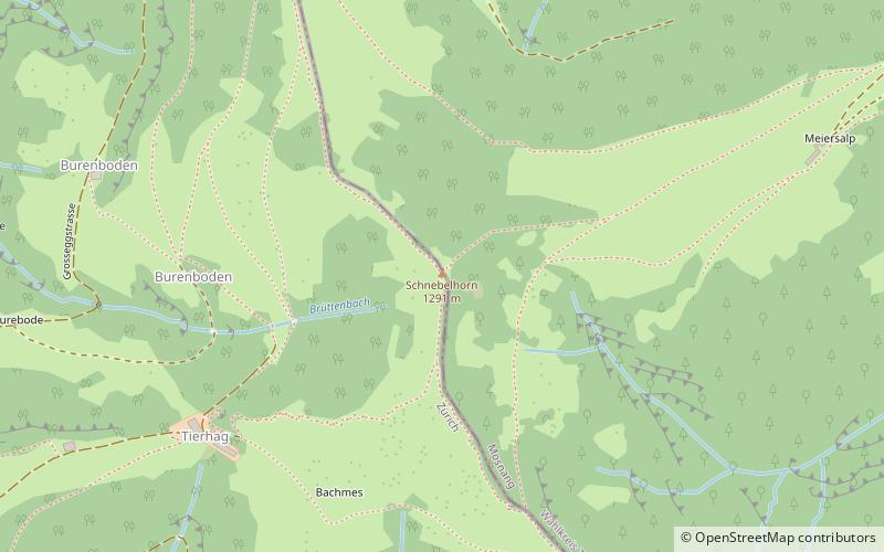 Schnebelhorn location map