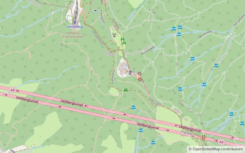 Oppidum Üetliberg location map