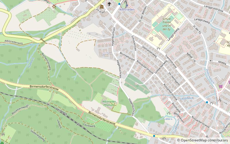 Albisrieden location map