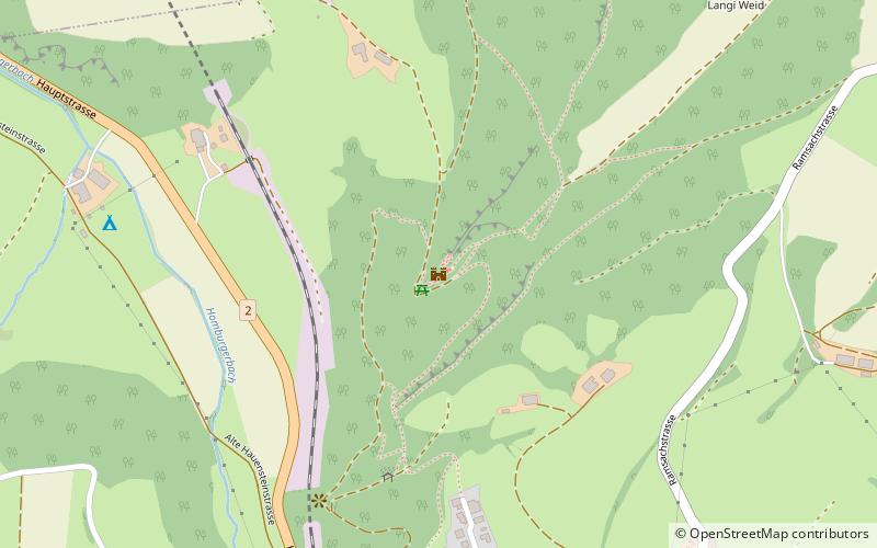 Neu-Homburg Castle location map