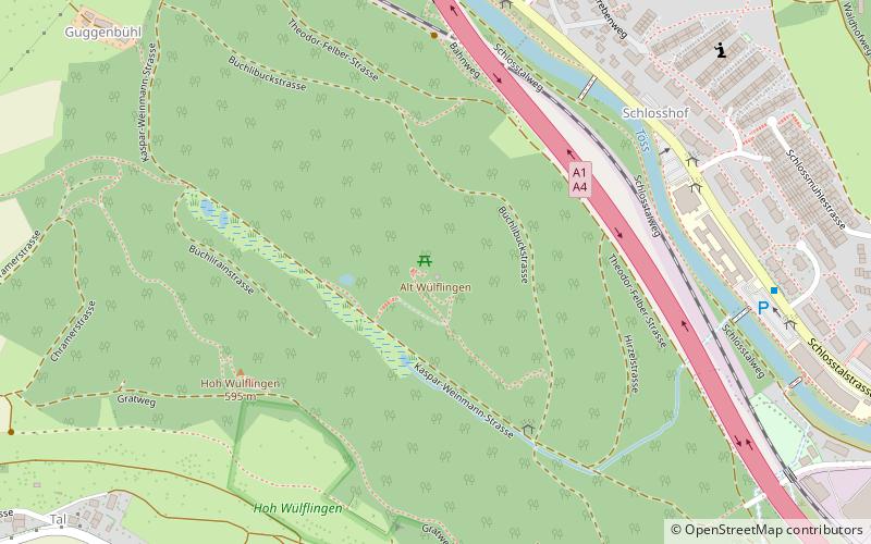 Burgruine Alt-Wülflingen location map