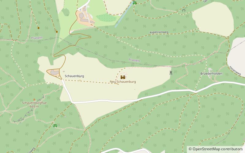 Neu-Schauenburg Castle location map