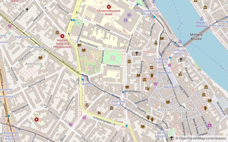 University of Basel location map