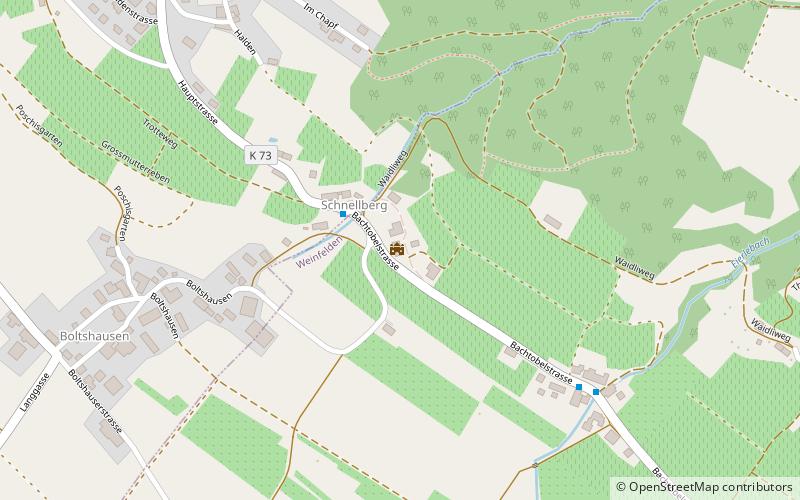 Bachtobel Castle location map