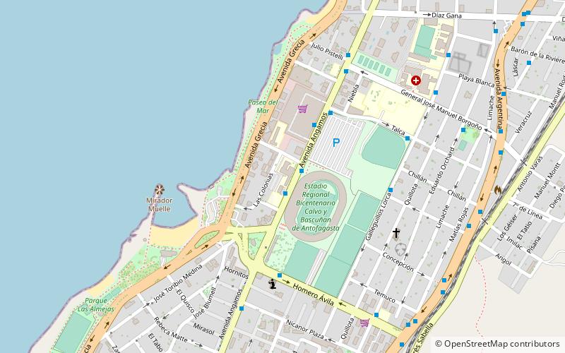 University of Antofagasta location map