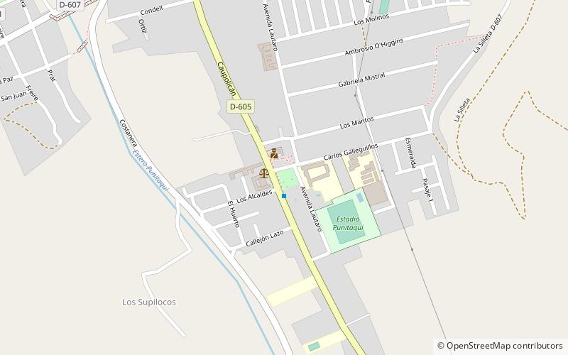 Punitaqui location map