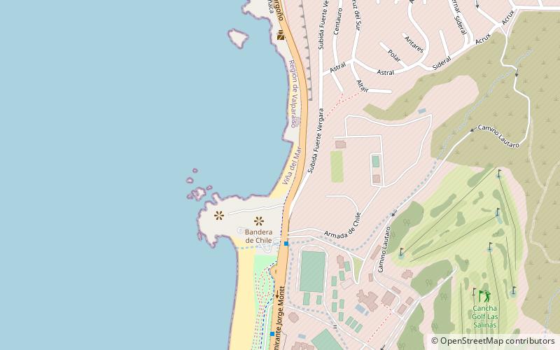 playa las salinas vina del mar location map