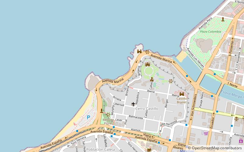 playa de los artistas vina del mar location map