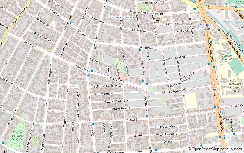 feria emilia tellez santiago location map