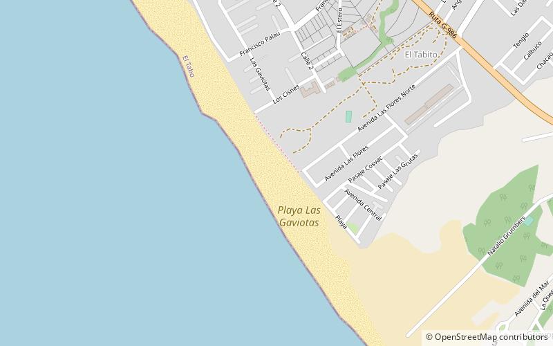 playa el tabo isla negra location map