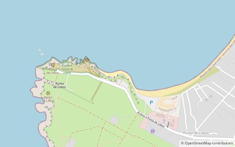 Playa Punta de Lobos location map