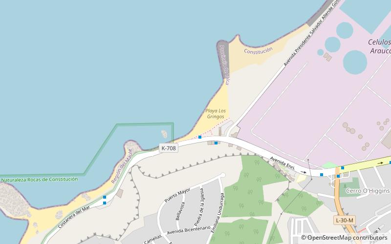playa los gringos constitucion location map