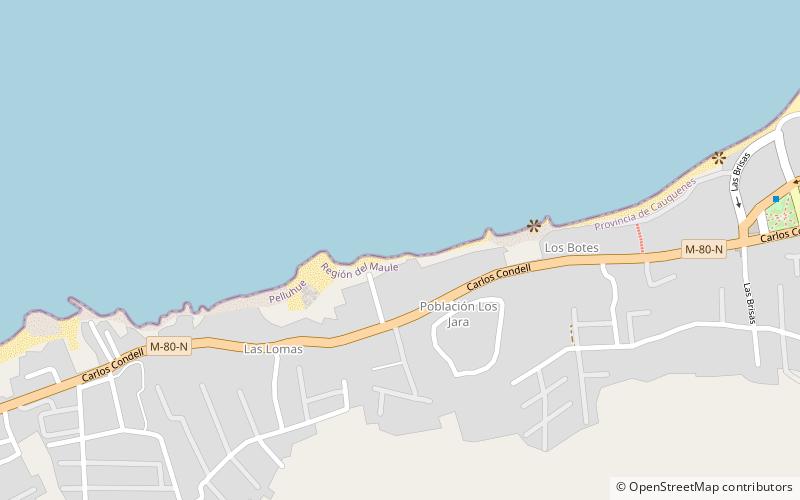caleta pelluhue location map