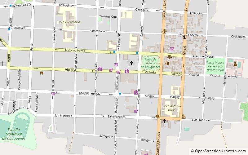 mercado municipal cauquenes location map