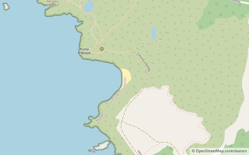 playa rocoto location map