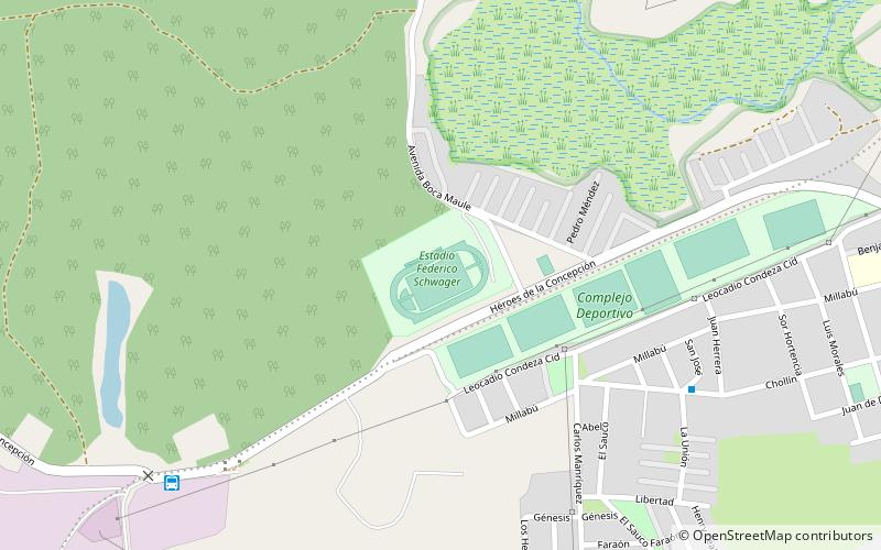 estadio federico schwager coronel location map