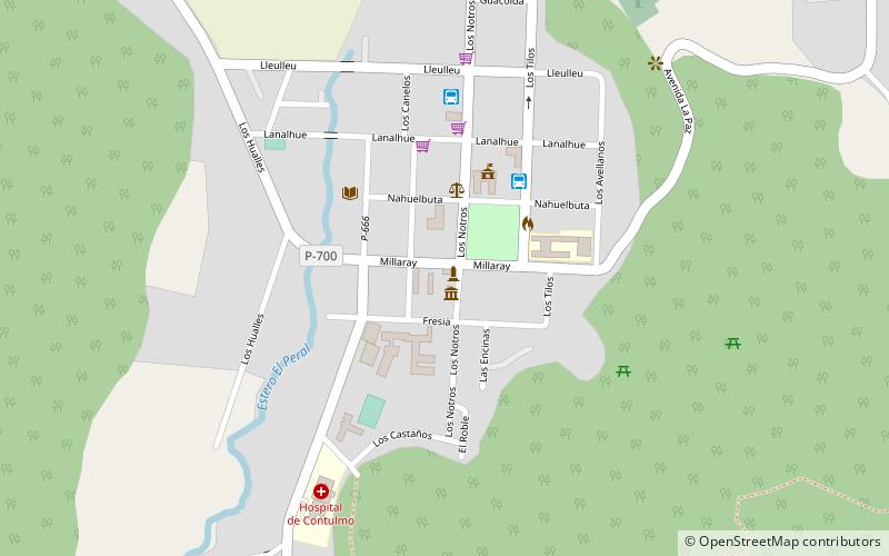 Contulmo location map