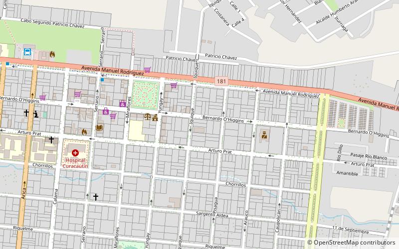 Curacautín location map