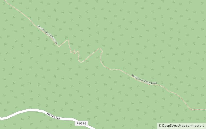 araucaria madre milenaria park narodowy conguillio location map