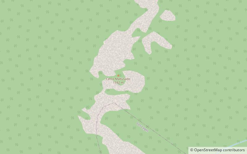 nevado las agujas bosques templados lluviosos de los andes australes location map
