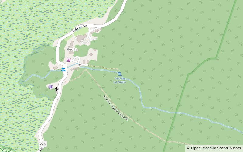 el velo de la novia parque nacional vicente perez rosales location map