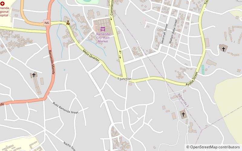 commercial avenue bamenda location map