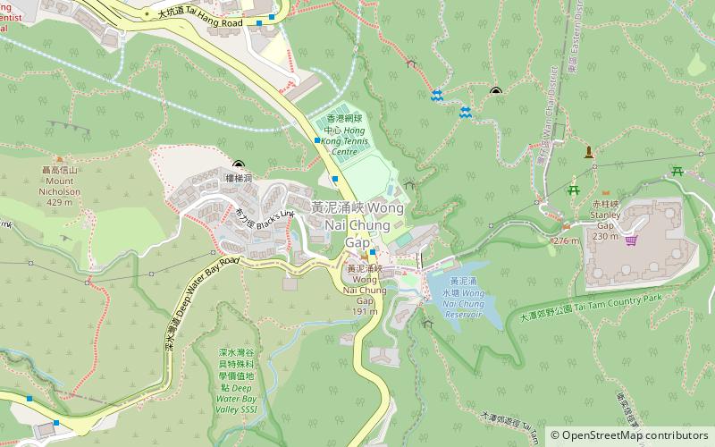 Wong Nai Chung Gap location map